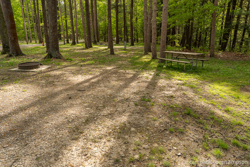 Campsite Photo of Site 88 at Watkins Glen State Park, New York - Cross Site View