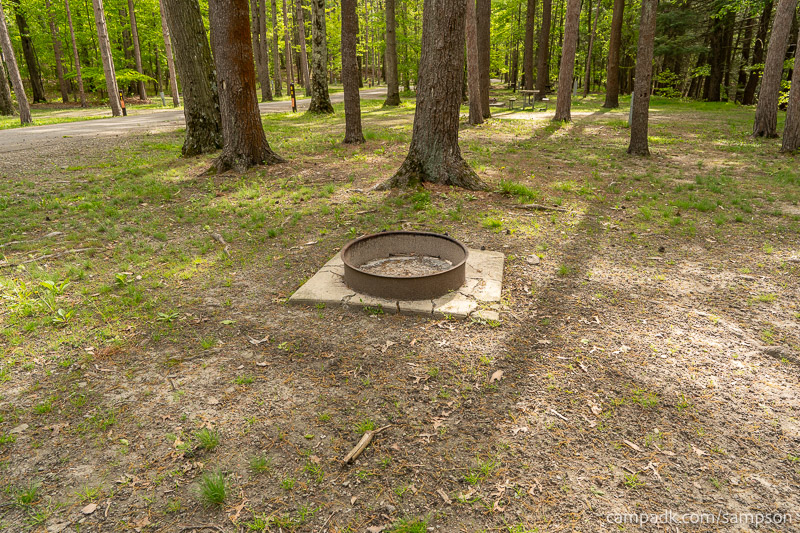 Campsite Photo of Site 88 at Watkins Glen State Park, New York - Fireplace View