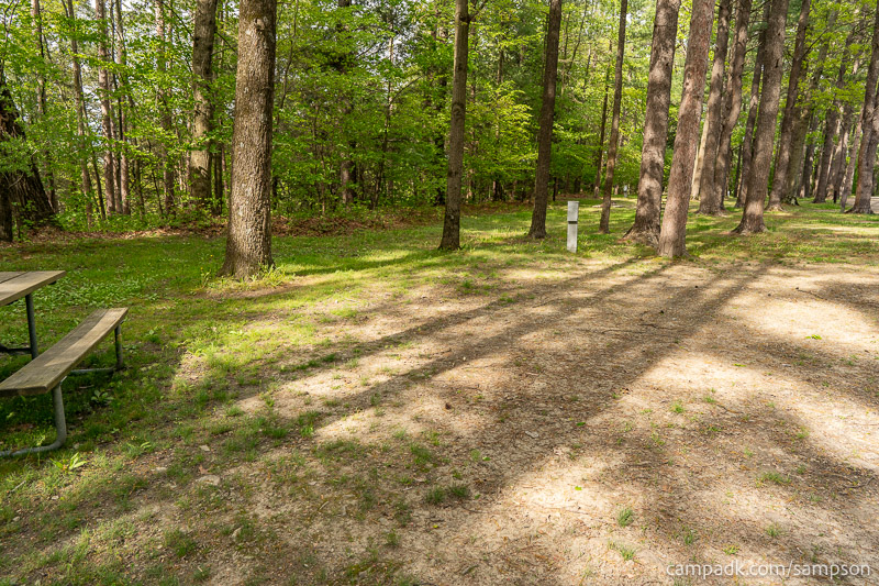 Campsite Photo of Site 88 at Watkins Glen State Park, New York - Cross Site View