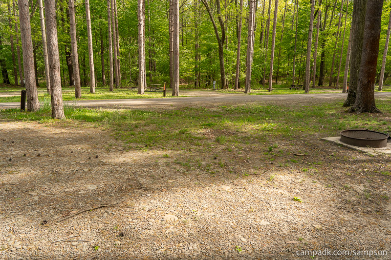 Campsite Photo of Site 88 at Watkins Glen State Park, New York - Looking Back Towards Road