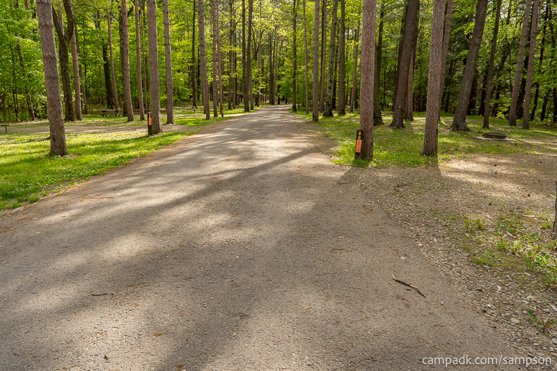Campsite Photo of Site 88 at Watkins Glen State Park, New York - View Down Road from Campsite