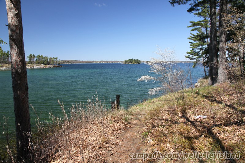 Campsite Photo of Site 77 at Wellesley Island State Park, New York - View from Shoreline