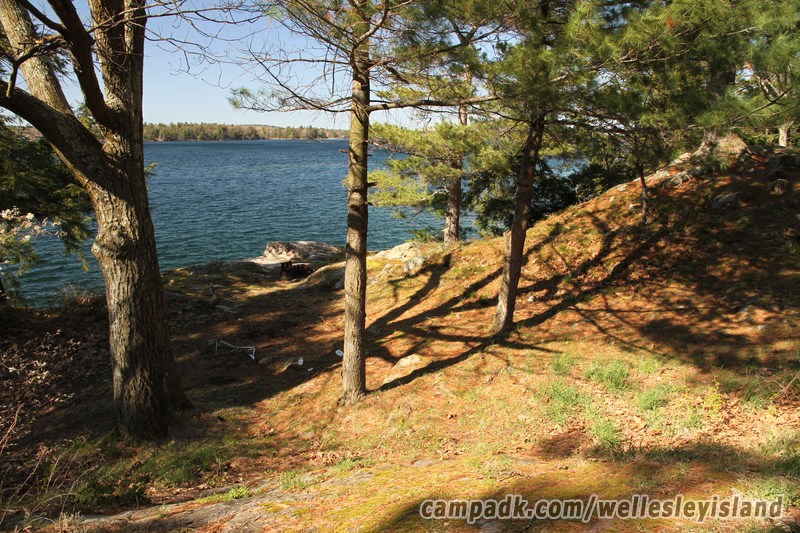 Campsite Photo of Site 19 at Wellesley Island State Park, New York - Pathway Down to Water