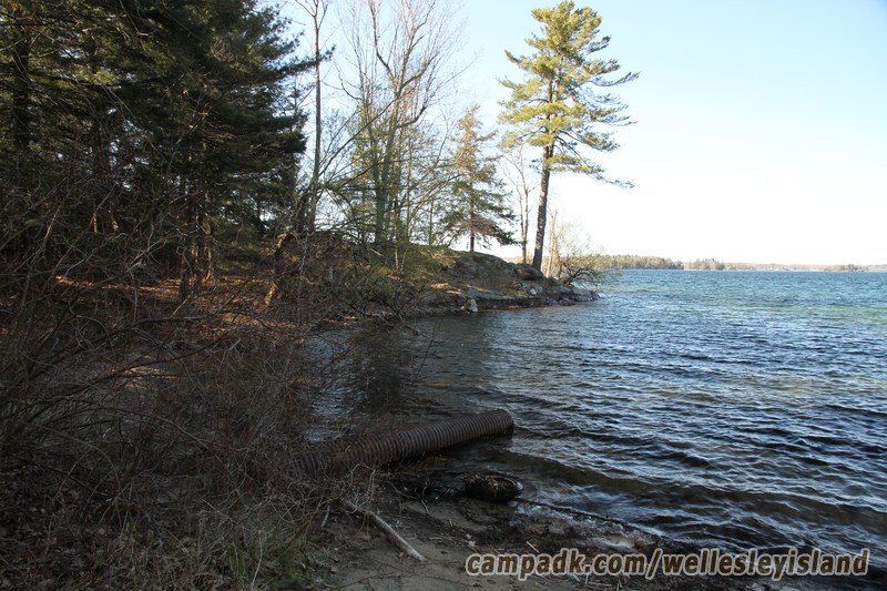 Campsite Photo of Site 19 at Wellesley Island State Park, New York - View from Shoreline
