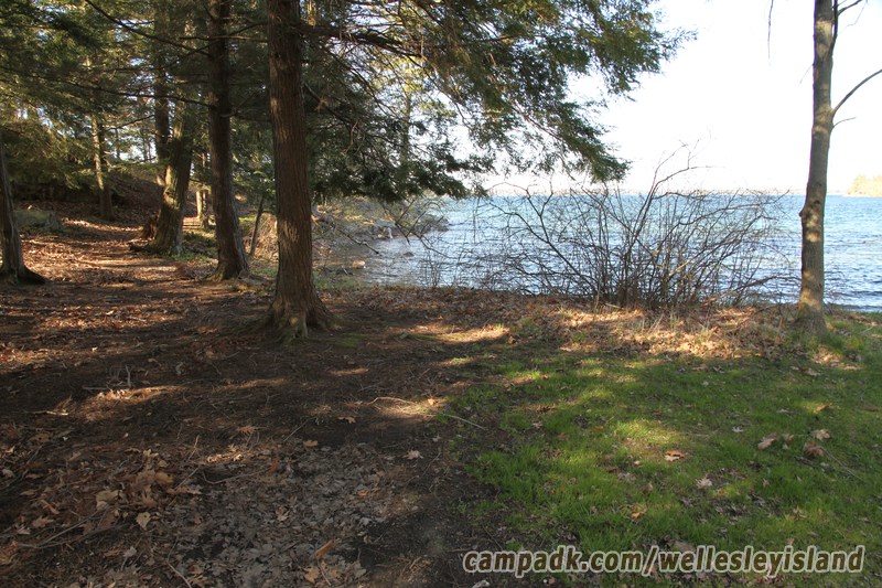 Campsite Photo of Site 19 at Wellesley Island State Park, New York - Looking at Site from Part Way In