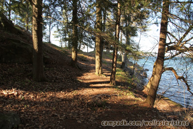Campsite Photo of Site 19 at Wellesley Island State Park, New York - Looking at Site from Part Way In