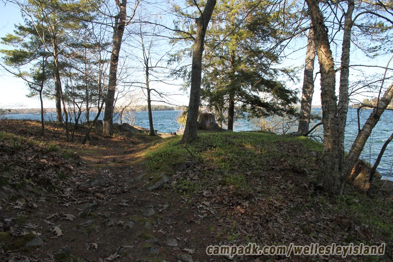 Campsite Photo of Site 19 at Wellesley Island State Park, New York - Looking at Site from Part Way In