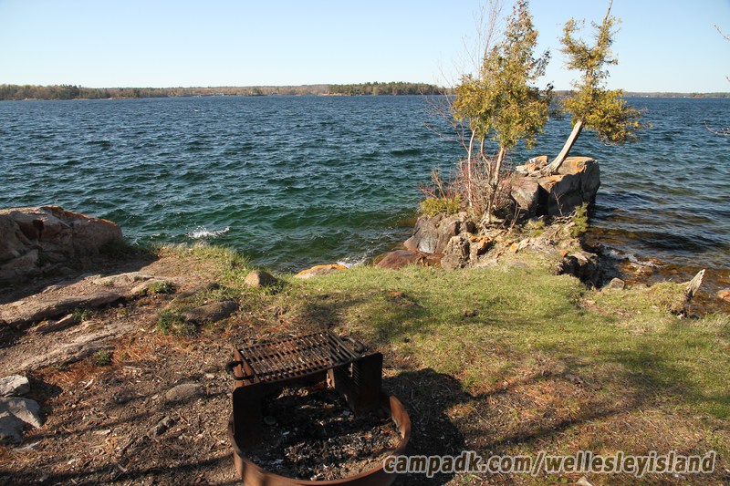 Campsite Photo of Site 19 at Wellesley Island State Park, New York - Fireplace View