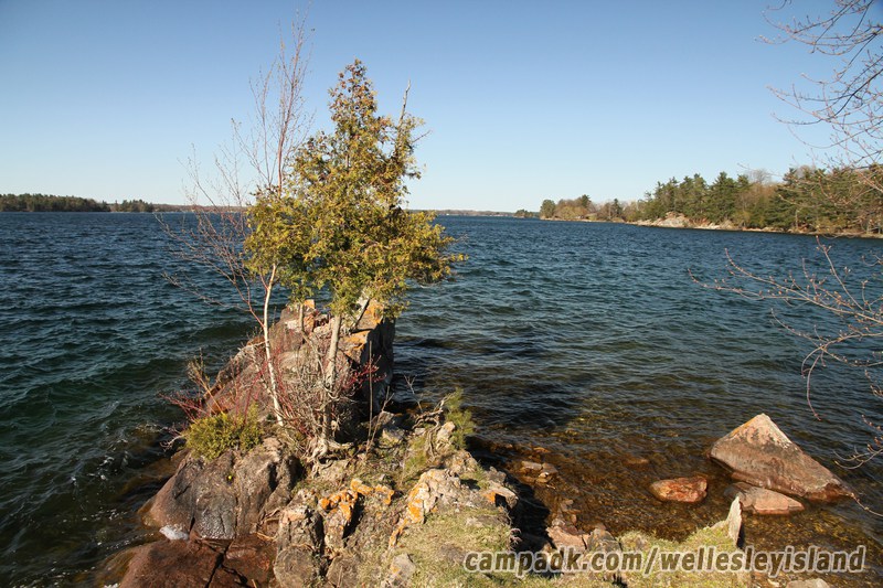 Campsite Photo of Site 19 at Wellesley Island State Park, New York - Shoreline and View