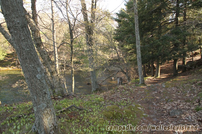 Campsite Photo of Site 19 at Wellesley Island State Park, New York - Returning Along Pathway from Water