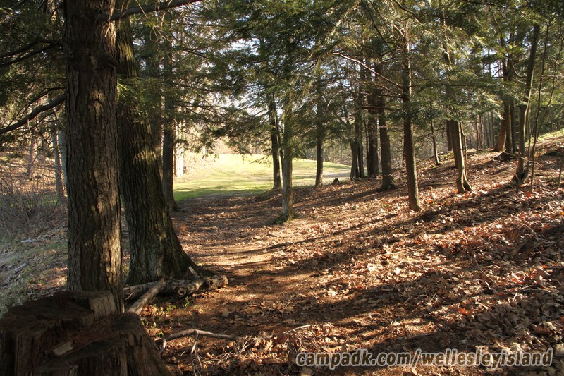 Campsite Photo of Site 19 at Wellesley Island State Park, New York - Returning Along Pathway from Water