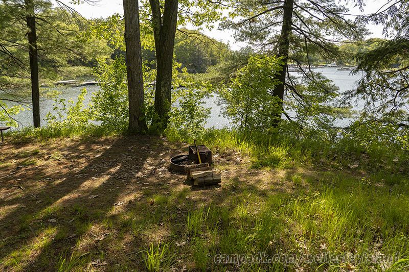 Campsite Photo of Site 77 at Wellesley Island State Park, New York - Fireplace View