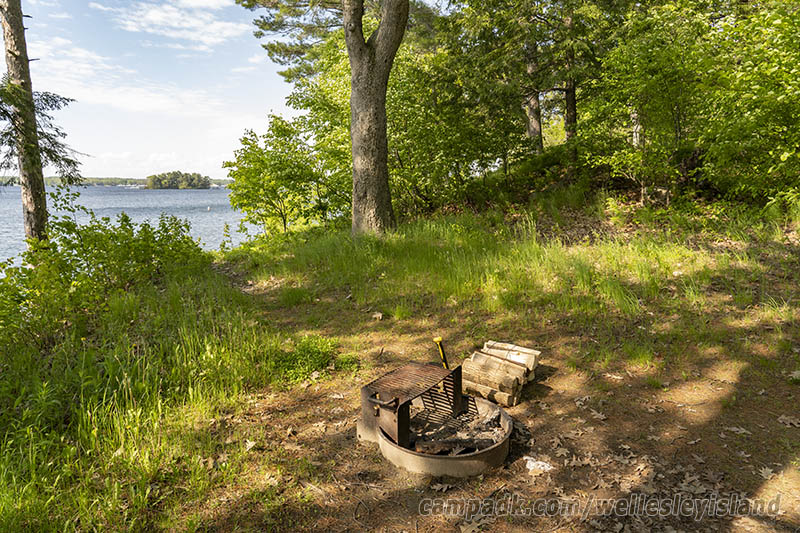 Campsite Photo of Site 77 at Wellesley Island State Park, New York - Cross Site View