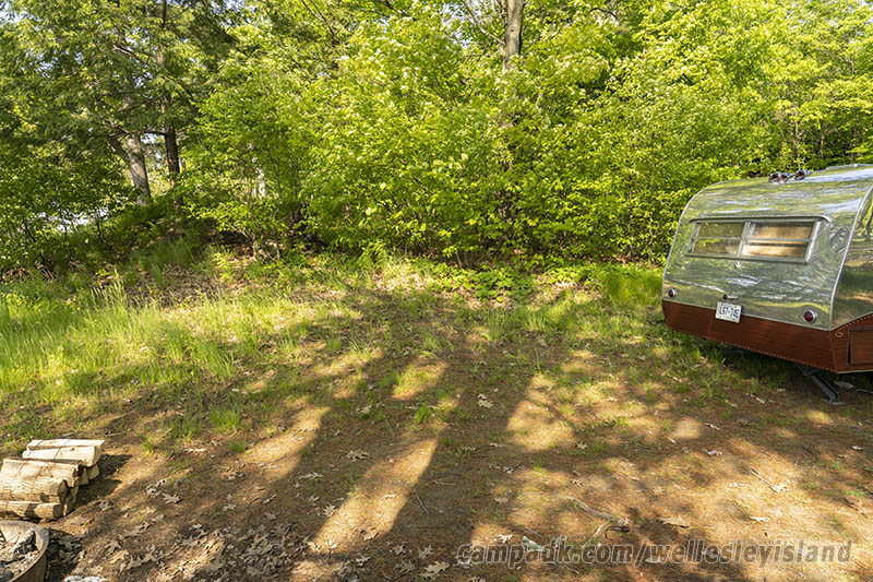 Campsite Photo of Site 77 at Wellesley Island State Park, New York - Cross Site View