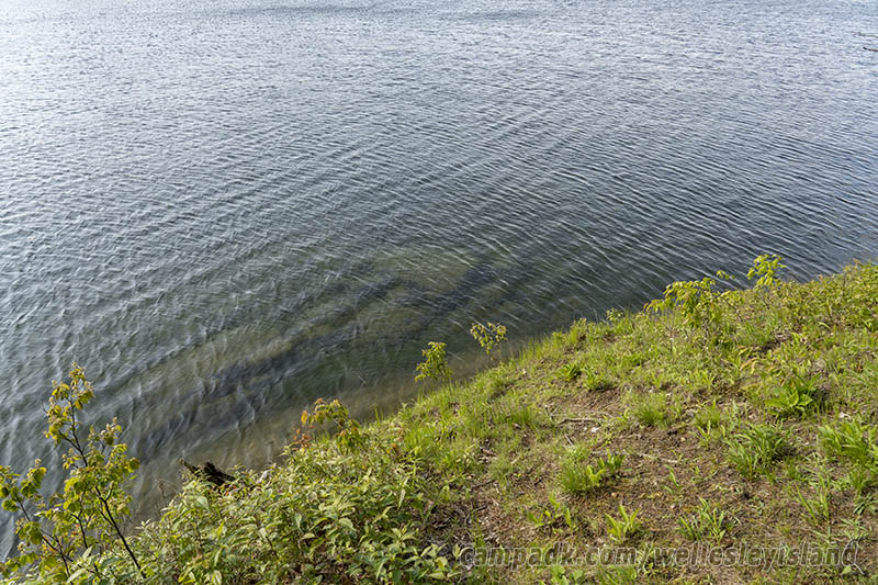 Campsite Photo of Site 77 at Wellesley Island State Park, New York - Shoreline