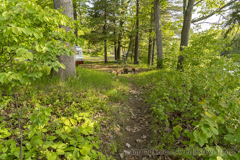 Campsite Photo of Site 77 at Wellesley Island State Park, New York - Returning Along Pathway from Water