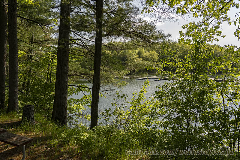 Campsite Photo of Site 77 at Wellesley Island State Park, New York - Cross Site View