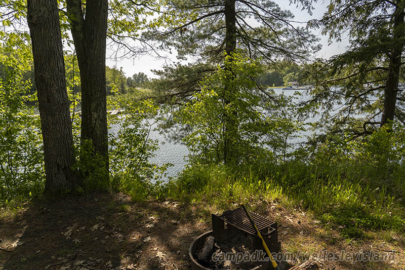 Campsite Photo of Site 77 at Wellesley Island State Park, New York - Fireplace View