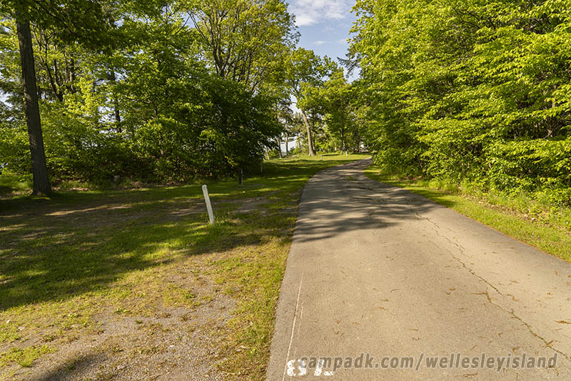 Campsite Photo of Site 77 at Wellesley Island State Park, New York - View Down Road from Campsite