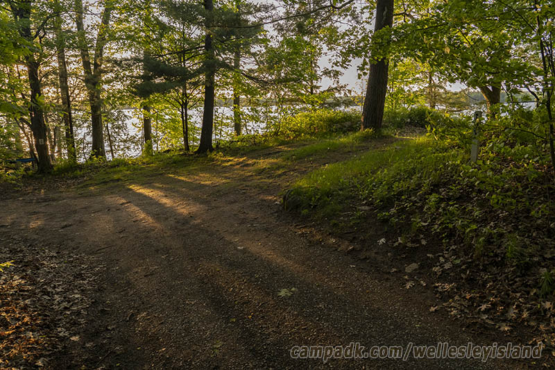 Campsite Photo of Site 19 at Wellesley Island State Park, New York - Looking at Site from Road Sign Visible