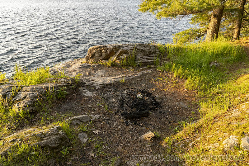 Campsite Photo of Site 19 at Wellesley Island State Park, New York - Shoreline