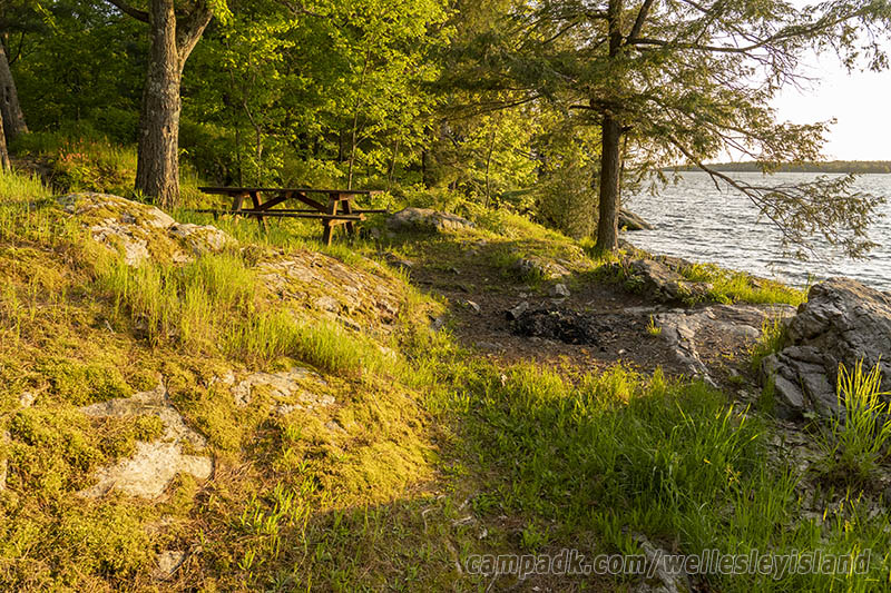 Campsite Photo of Site 19 at Wellesley Island State Park, New York - Cross Site View