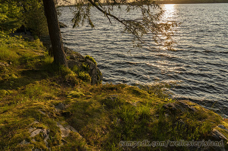 Campsite Photo of Site 19 at Wellesley Island State Park, New York - Shoreline