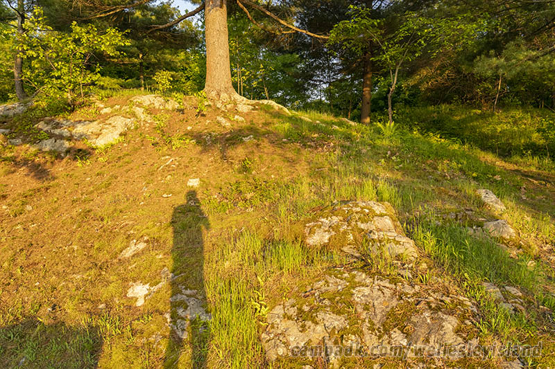 Campsite Photo of Site 19 at Wellesley Island State Park, New York - Returning Along Pathway from Water