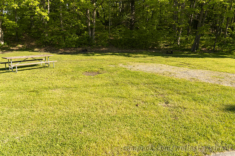 Campsite Photo of Site 19 at Wellesley Island State Park, New York - Looking at Site from Road