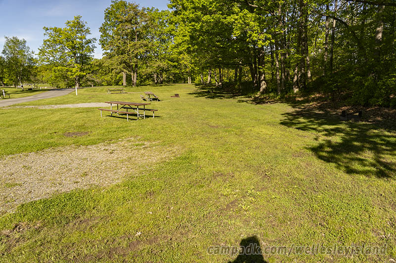 Campsite Photo of Site 19 at Wellesley Island State Park, New York - Cross Site View