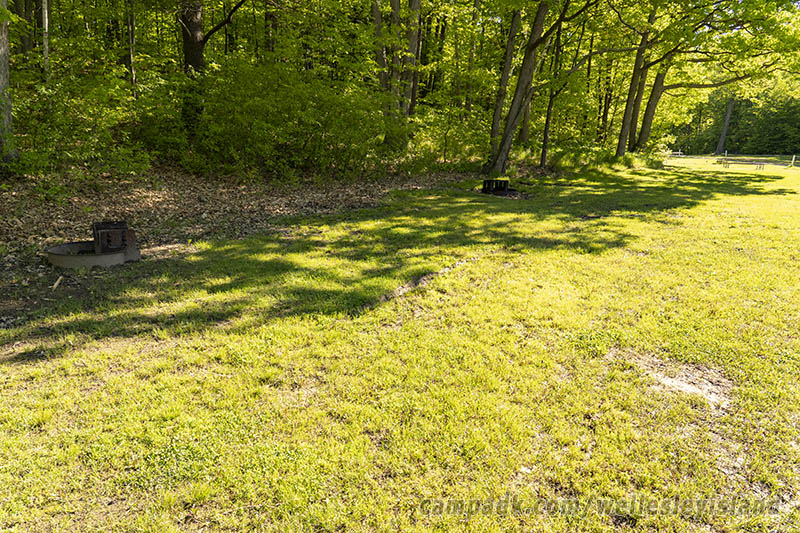 Campsite Photo of Site 19 at Wellesley Island State Park, New York - Cross Site View
