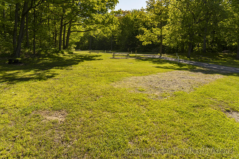 Campsite Photo of Site 19 at Wellesley Island State Park, New York - Cross Site View