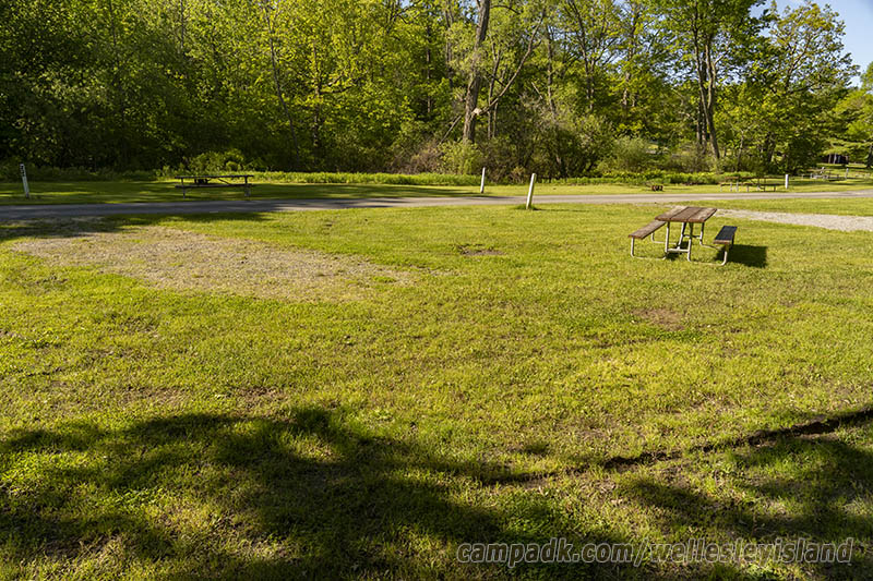 Campsite Photo of Site 19 at Wellesley Island State Park, New York - Looking Back Towards Road