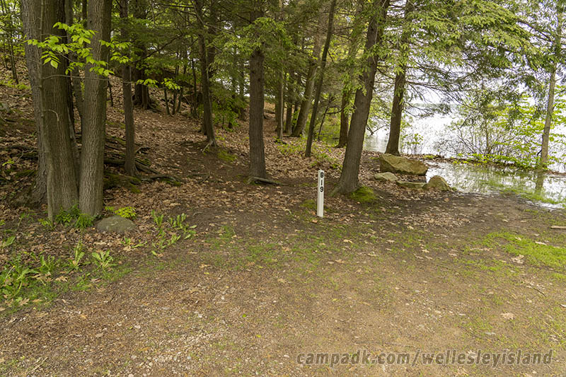 Campsite Photo of Site 19 at Wellesley Island State Park, New York - Looking at Site from Part Way In
