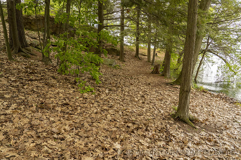 Campsite Photo of Site 19 at Wellesley Island State Park, New York - Looking at Site from Part Way In