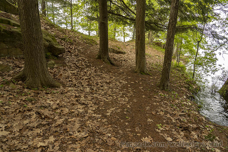 Campsite Photo of Site 19 at Wellesley Island State Park, New York - Looking at Site from Part Way In