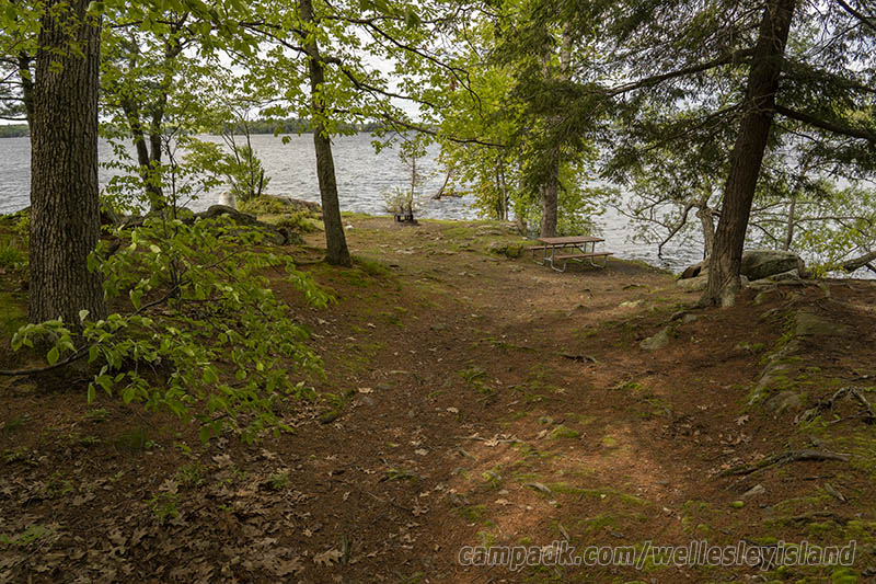 Campsite Photo of Site 19 at Wellesley Island State Park, New York - Looking at Site from Part Way In