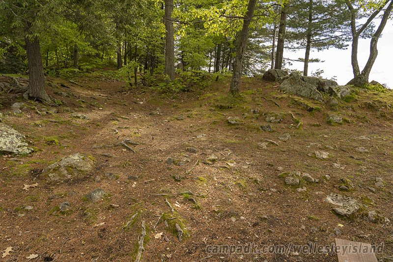 Campsite Photo of Site 19 at Wellesley Island State Park, New York - Cross Site View