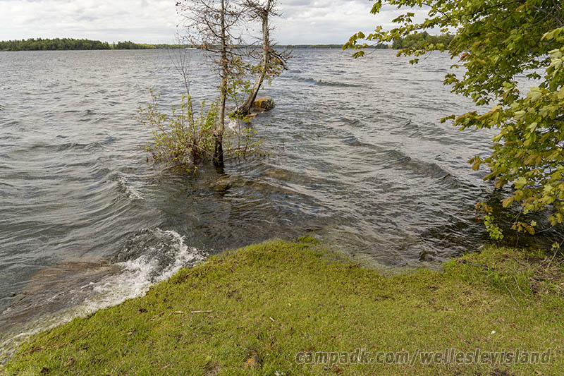 Campsite Photo of Site 19 at Wellesley Island State Park, New York - Shoreline and View