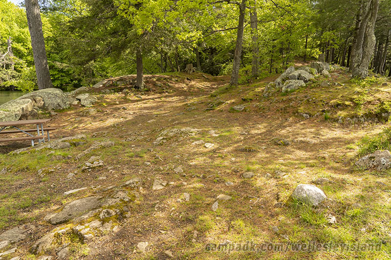 Campsite Photo of Site 19 at Wellesley Island State Park, New York - Cross Site View
