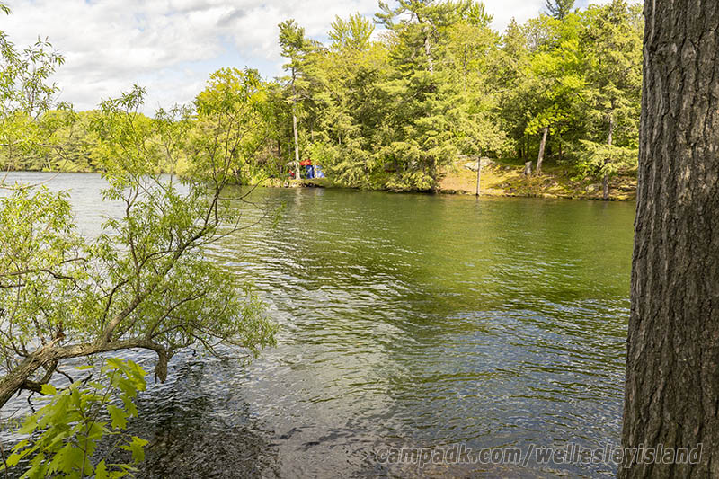 Campsite Photo of Site 19 at Wellesley Island State Park, New York - View from Shoreline