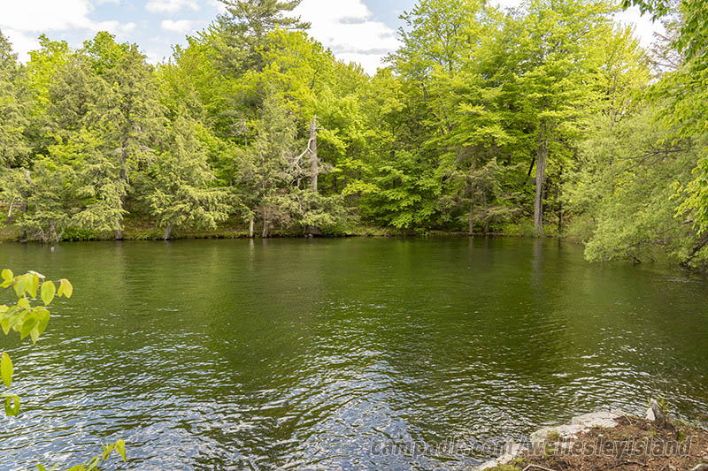 Campsite Photo of Site 19 at Wellesley Island State Park, New York - View from Shoreline