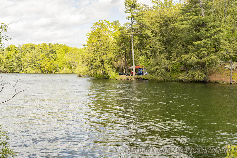 Campsite Photo of Site 19 at Wellesley Island State Park, New York - View from Shoreline