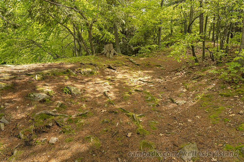 Campsite Photo of Site 19 at Wellesley Island State Park, New York - Looking Back Towards Road