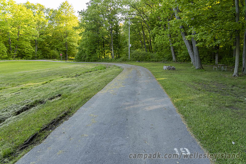 Campsite Photo of Site 19 at Wellesley Island State Park, New York - View Down Road from Campsite