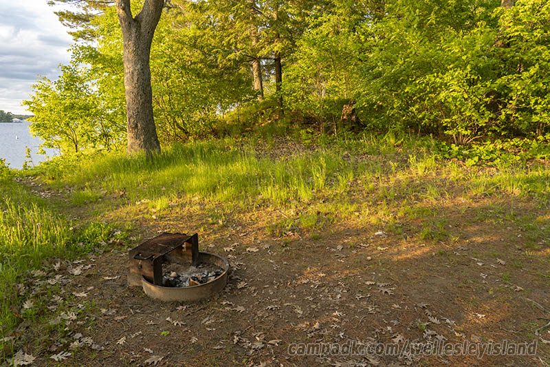 Campsite Photo of Site 77 at Wellesley Island State Park, New York - Fireplace View