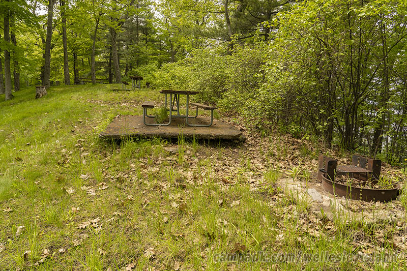 Campsite Photo of Site 19 at Wellesley Island State Park, New York - Cross Site View