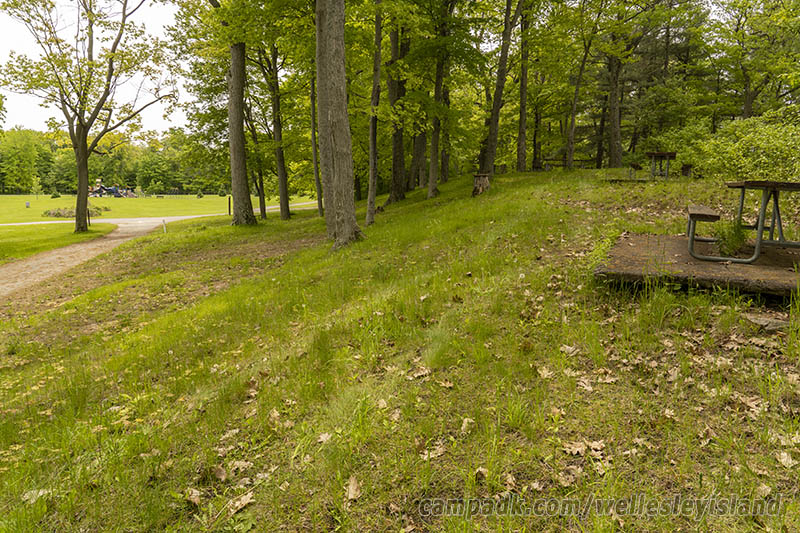Campsite Photo of Site 19 at Wellesley Island State Park, New York - Cross Site View