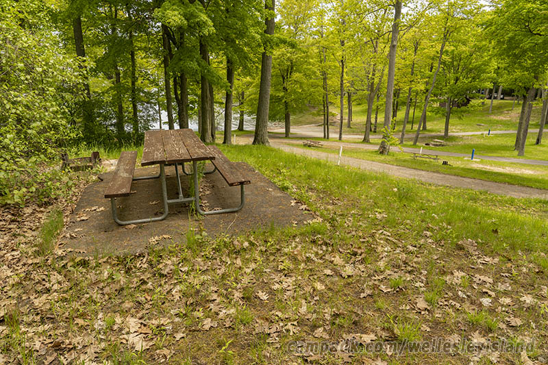 Campsite Photo of Site 19 at Wellesley Island State Park, New York - Cross Site View