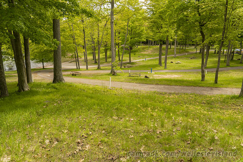Campsite Photo of Site 19 at Wellesley Island State Park, New York - Looking Back Towards Road